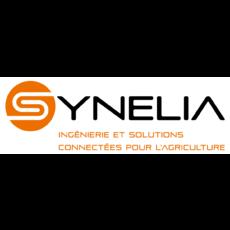 Synelia